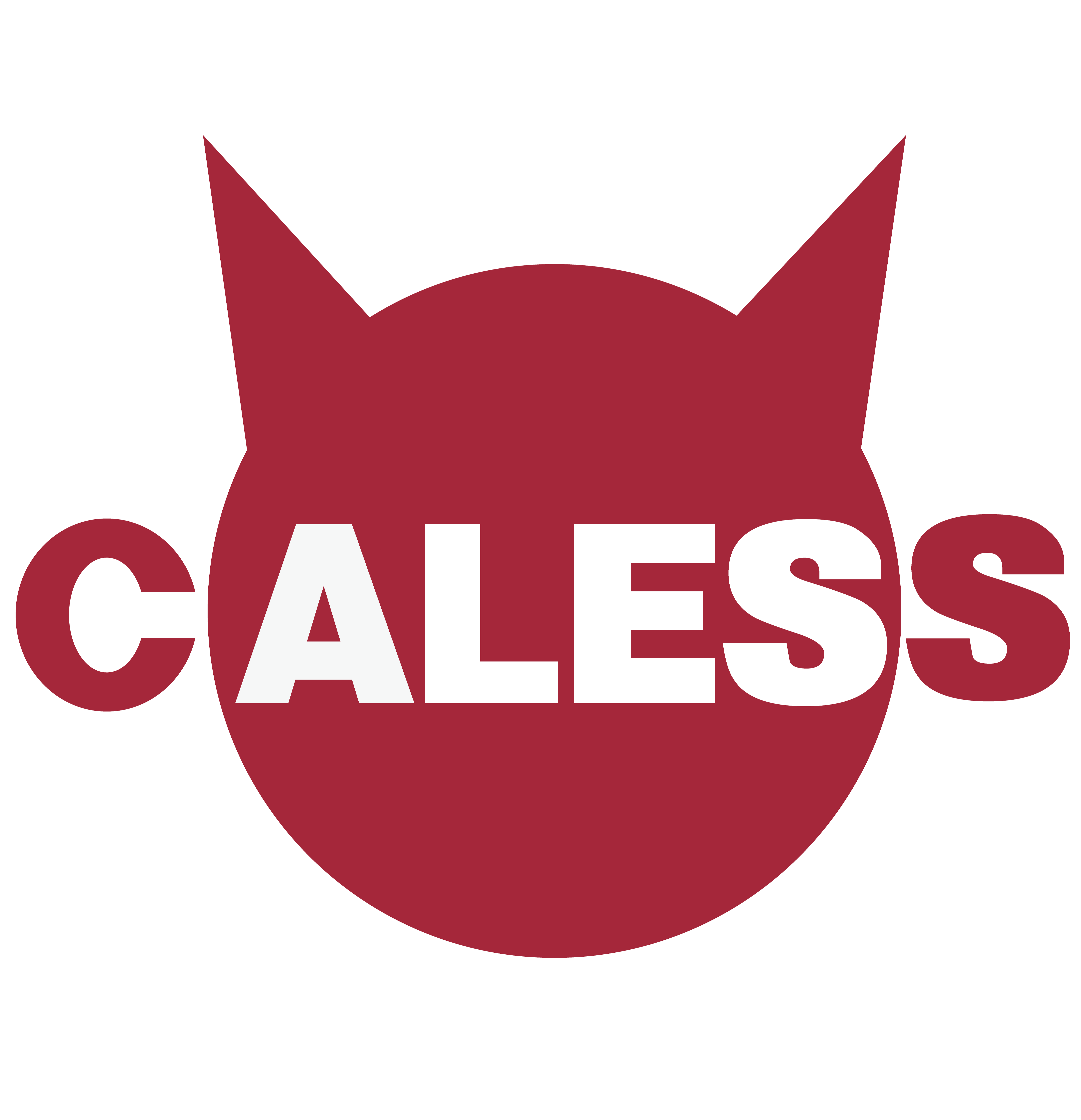 CALESS ENTERTAINMENT LABO