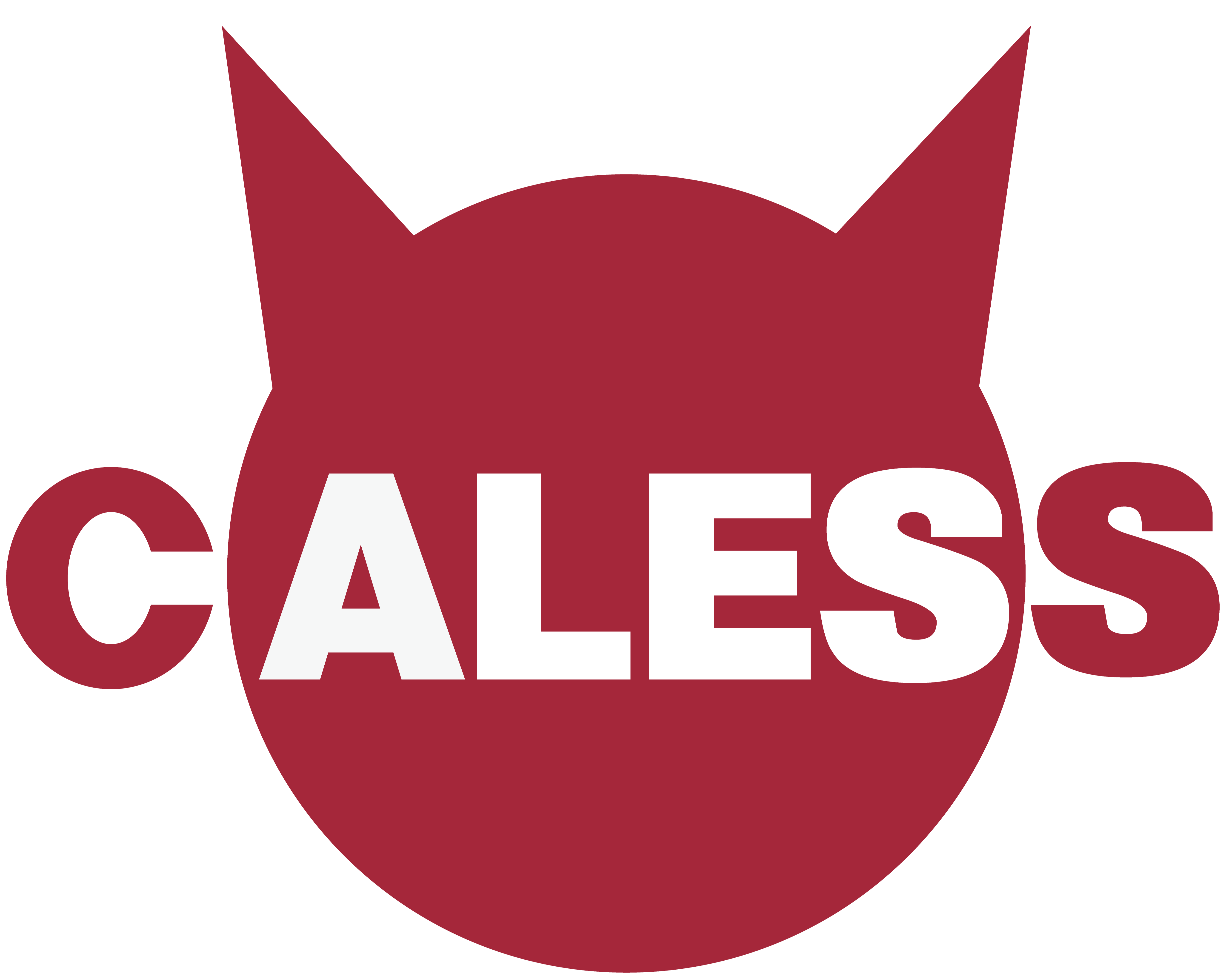 CALESS ENTERTAINMENT LABO